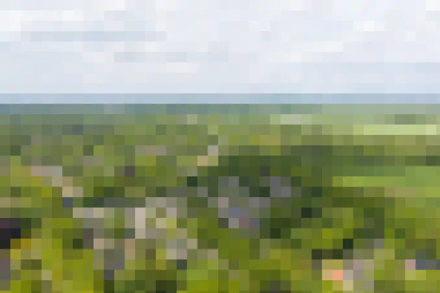 Hulstweg 10 Glimmen thumbnail 61
