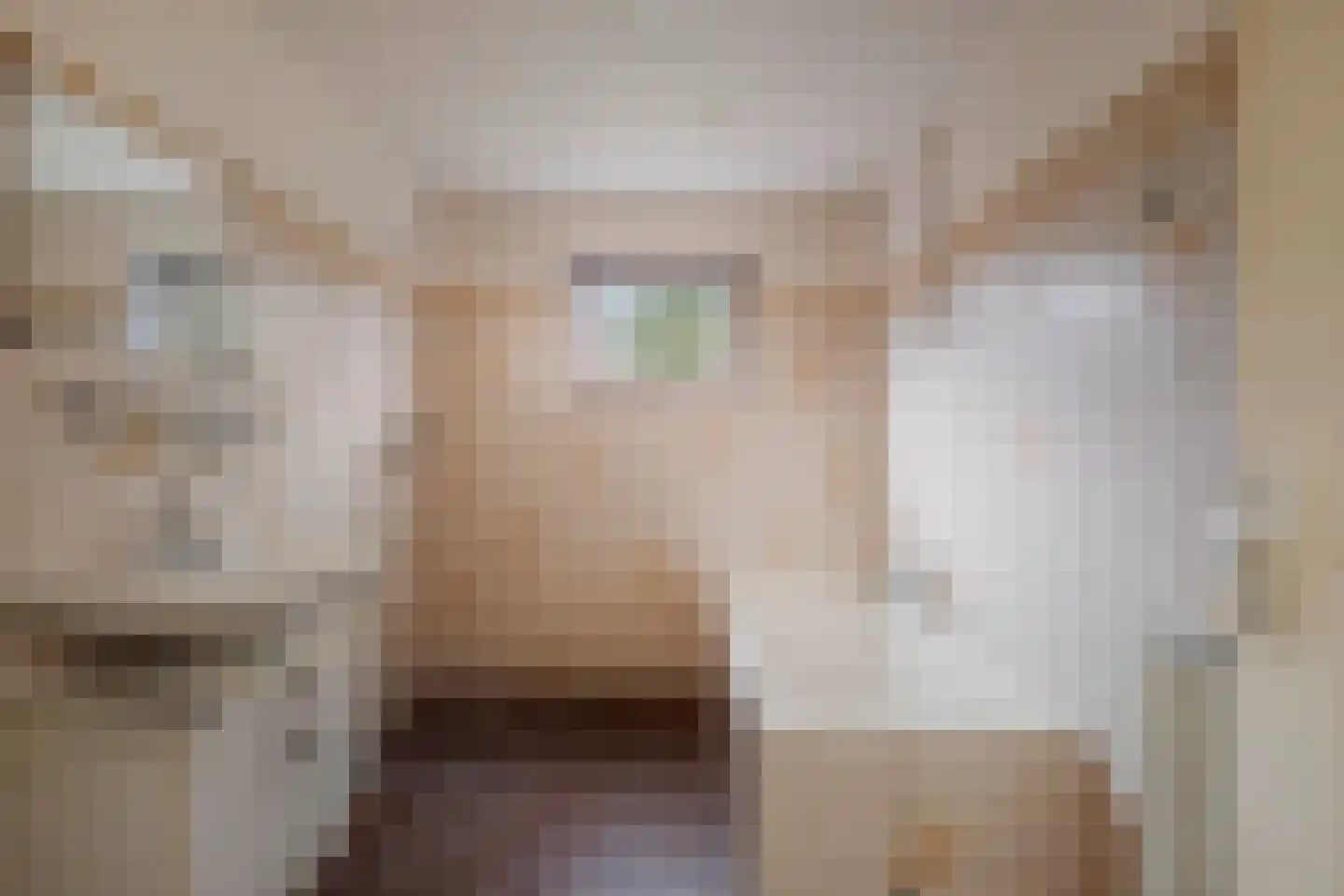Hulstweg 7 Harfsen thumbnail 14