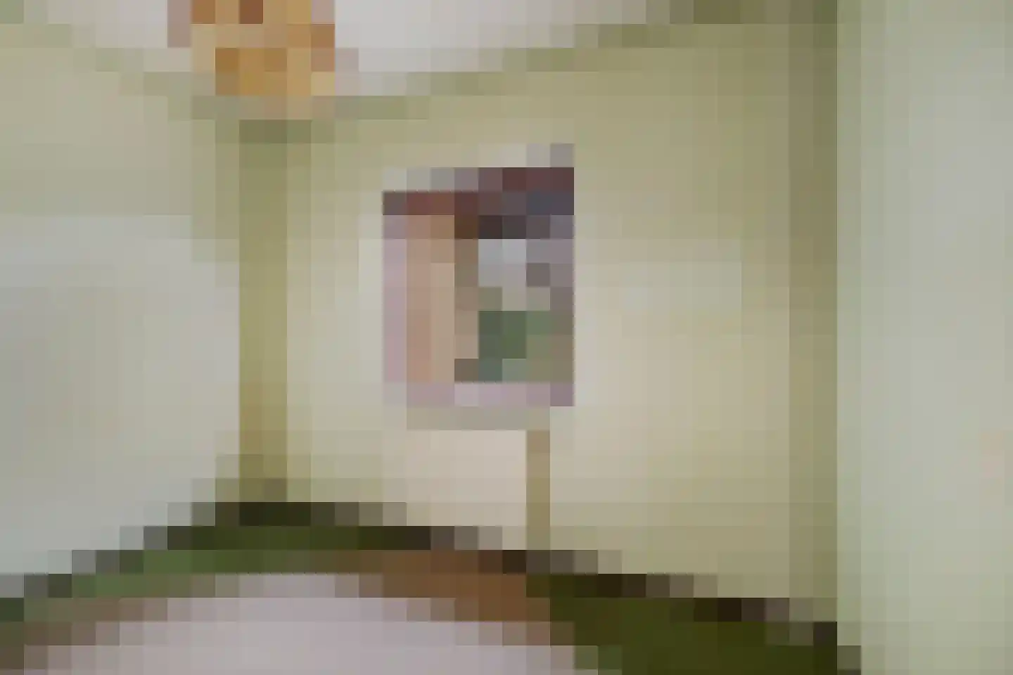 Hulstweg 7 Harfsen thumbnail 15