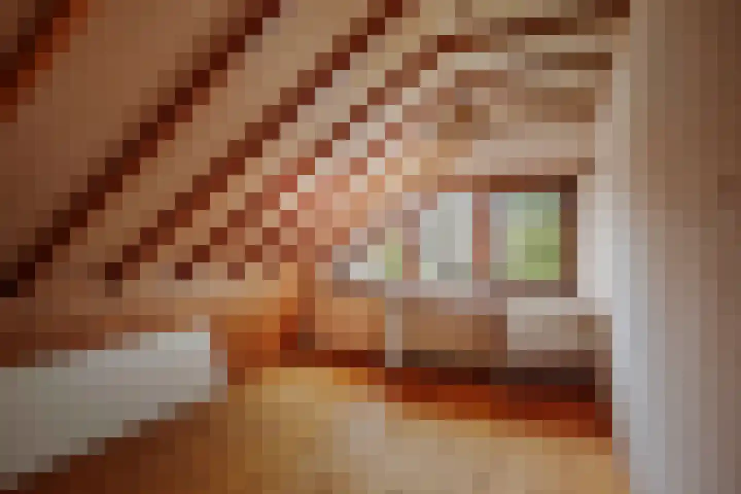 Hulstweg 7 Harfsen thumbnail 19