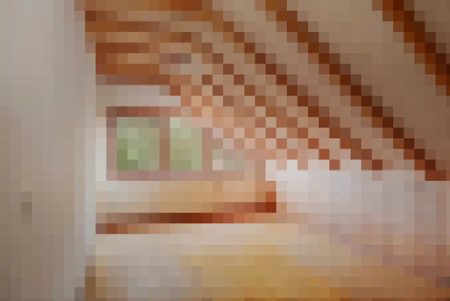 Hulstweg 7 Harfsen thumbnail 21