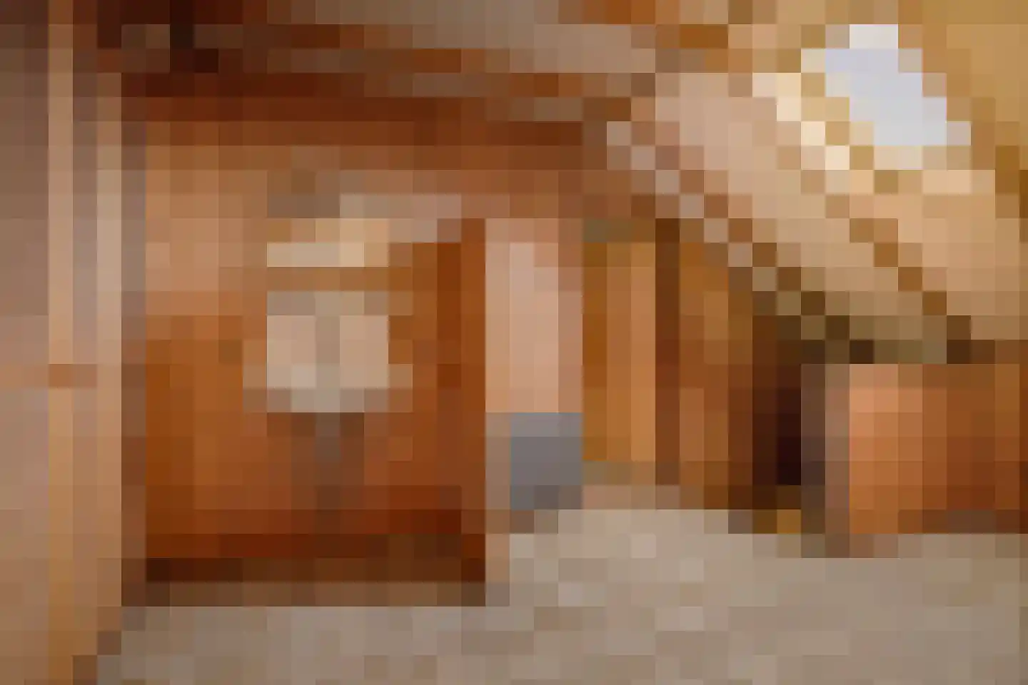 Hulstweg 7 Harfsen thumbnail 22