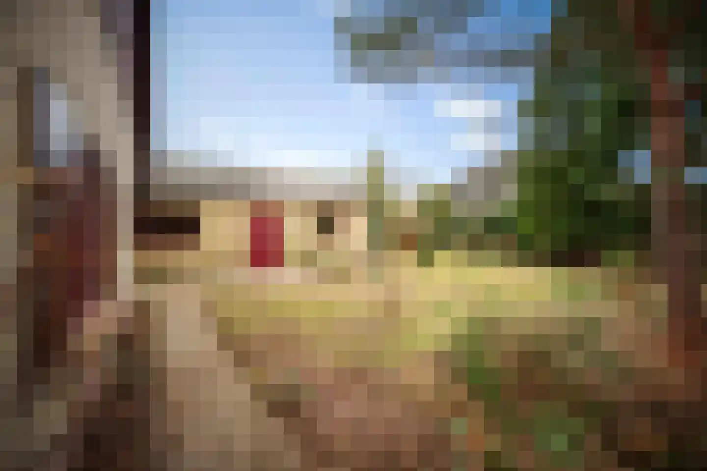 Hulstweg 7 Harfsen thumbnail 25