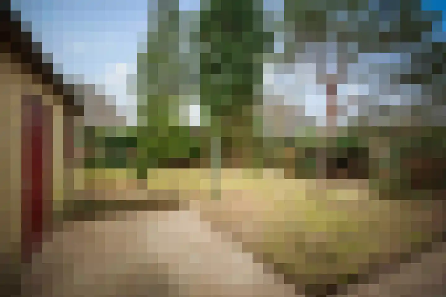 Hulstweg 7 Harfsen thumbnail 26