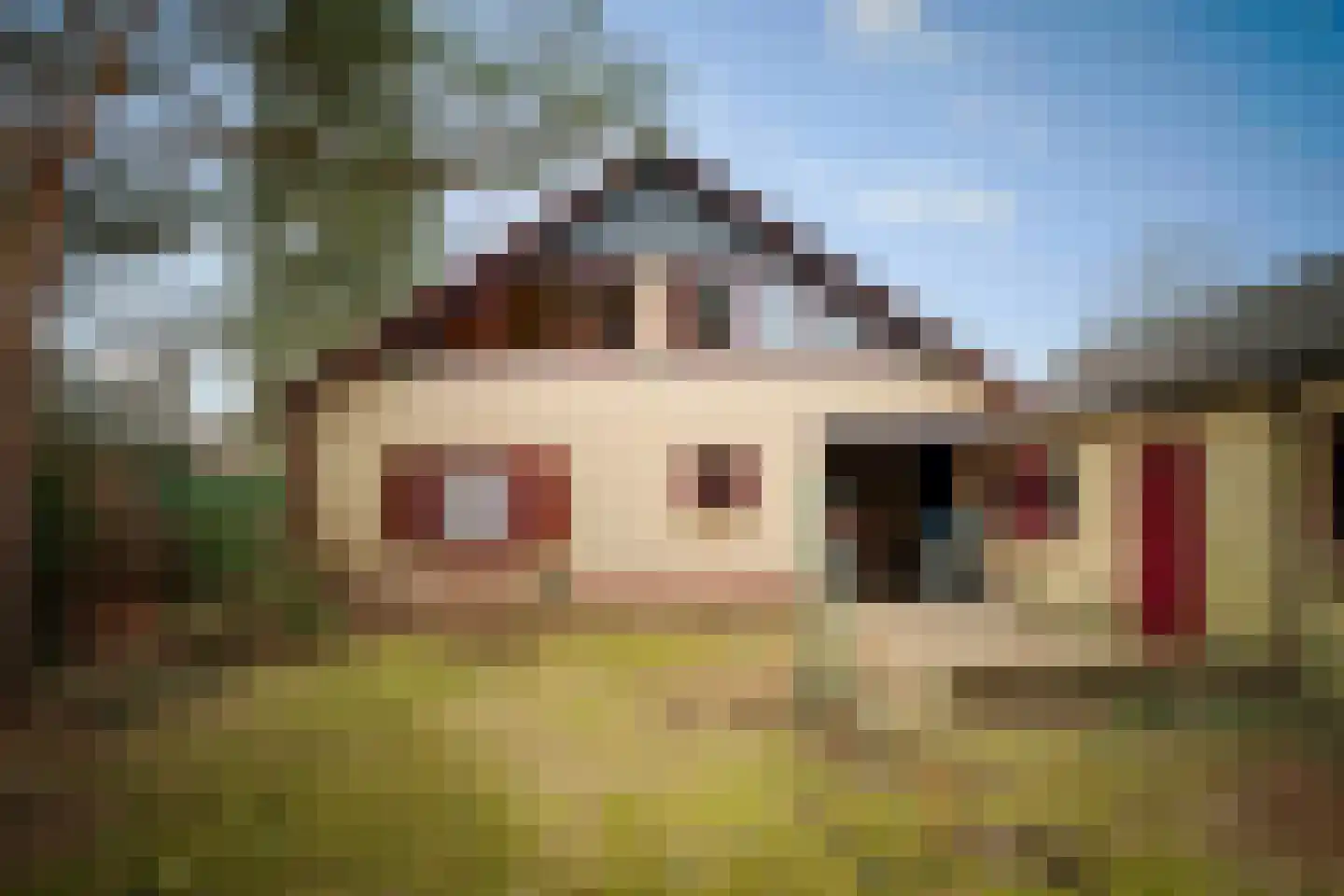 Hulstweg 7 Harfsen thumbnail 28