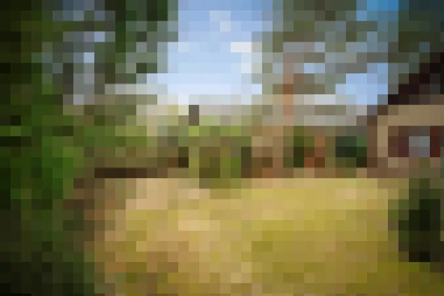 Hulstweg 7 Harfsen thumbnail 29