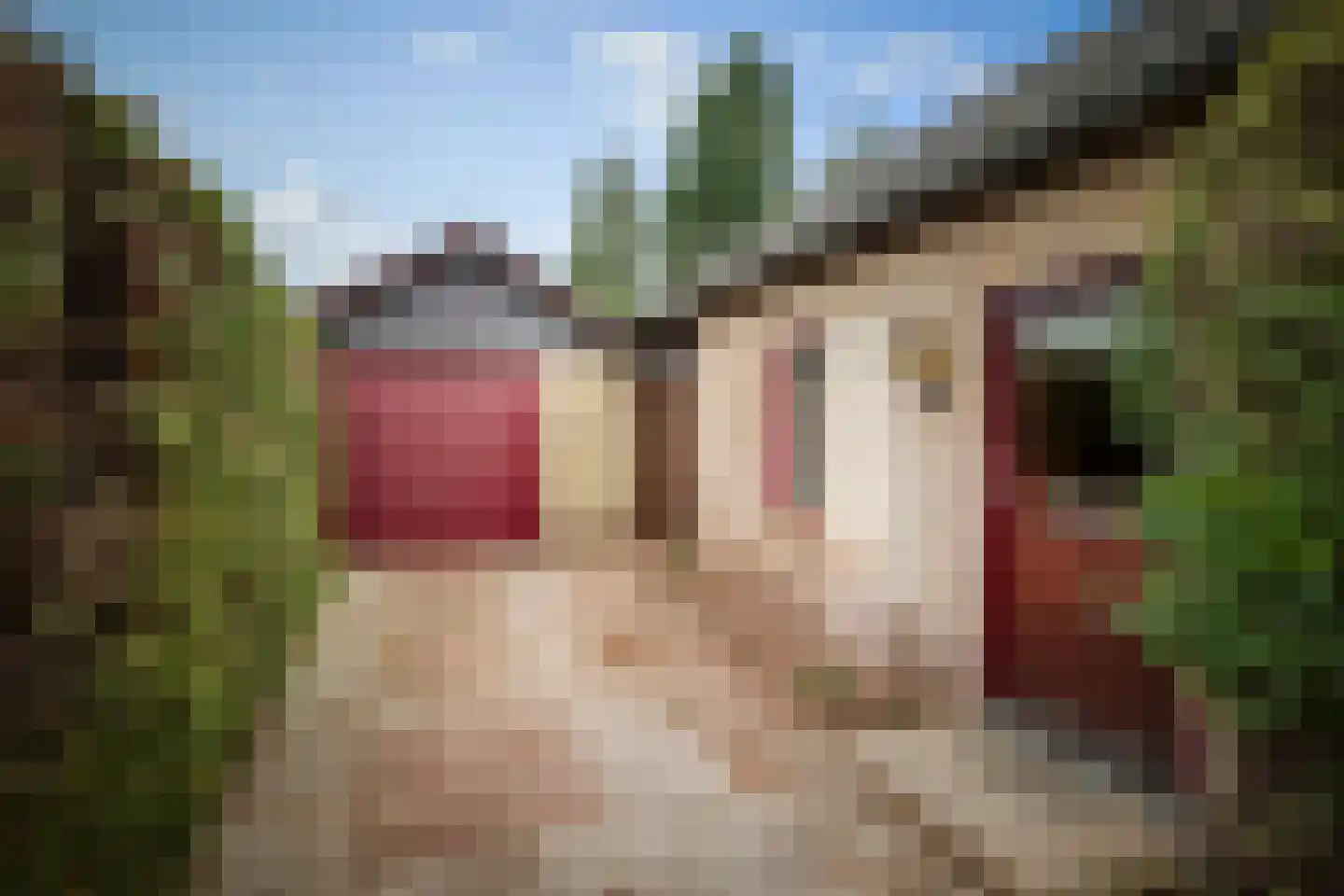 Hulstweg 7 Harfsen thumbnail 31