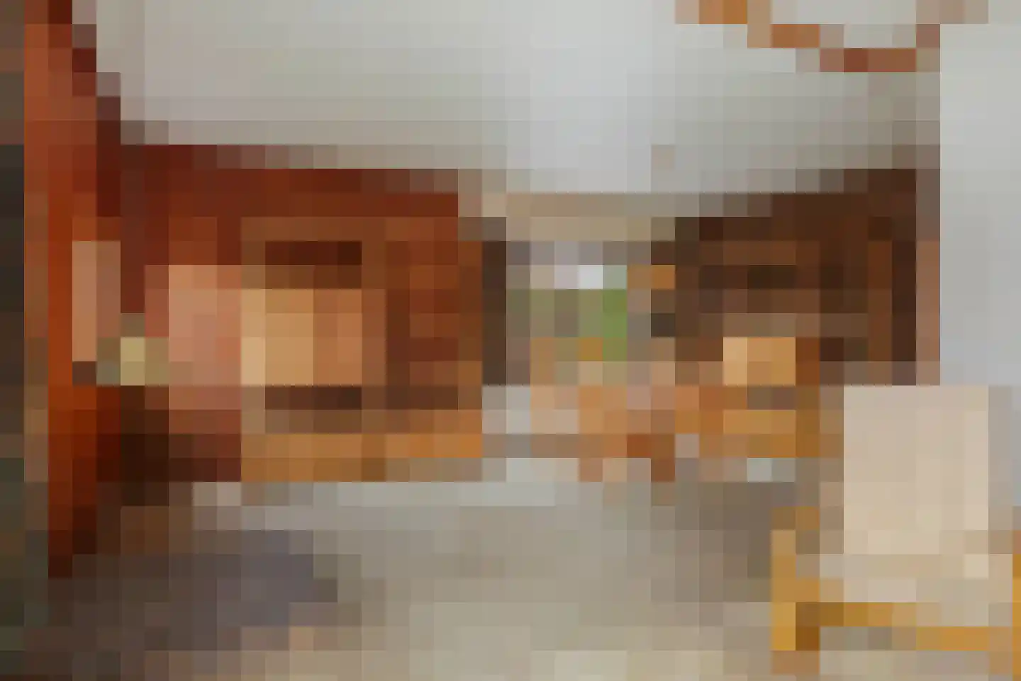 Hulstweg 7 Harfsen thumbnail 7