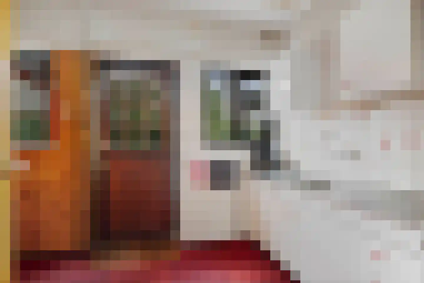 Hulstweg 7 Harfsen thumbnail 9