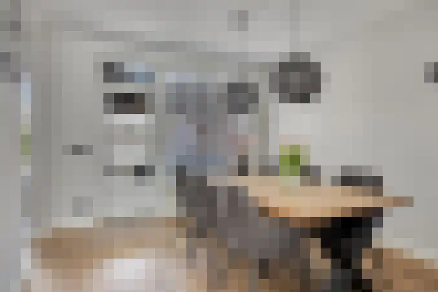 Hulte 7 Oirschot thumbnail 13