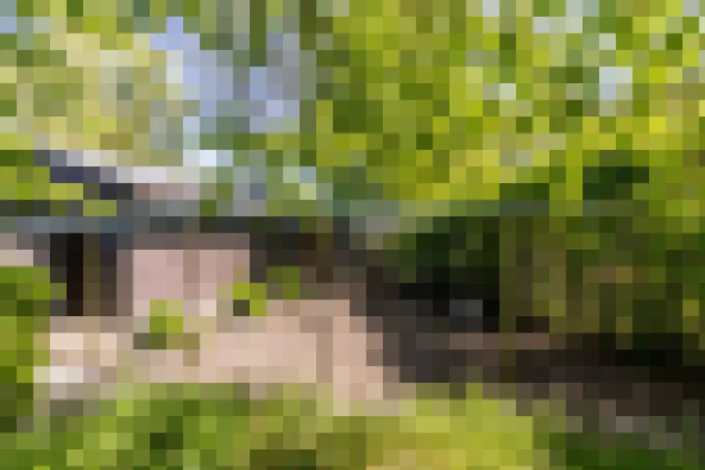 Hulteneindsestraat 10 A Hulten thumbnail 35