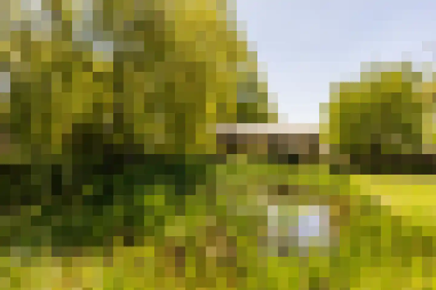Hulteneindsestraat 10 A Hulten thumbnail 40