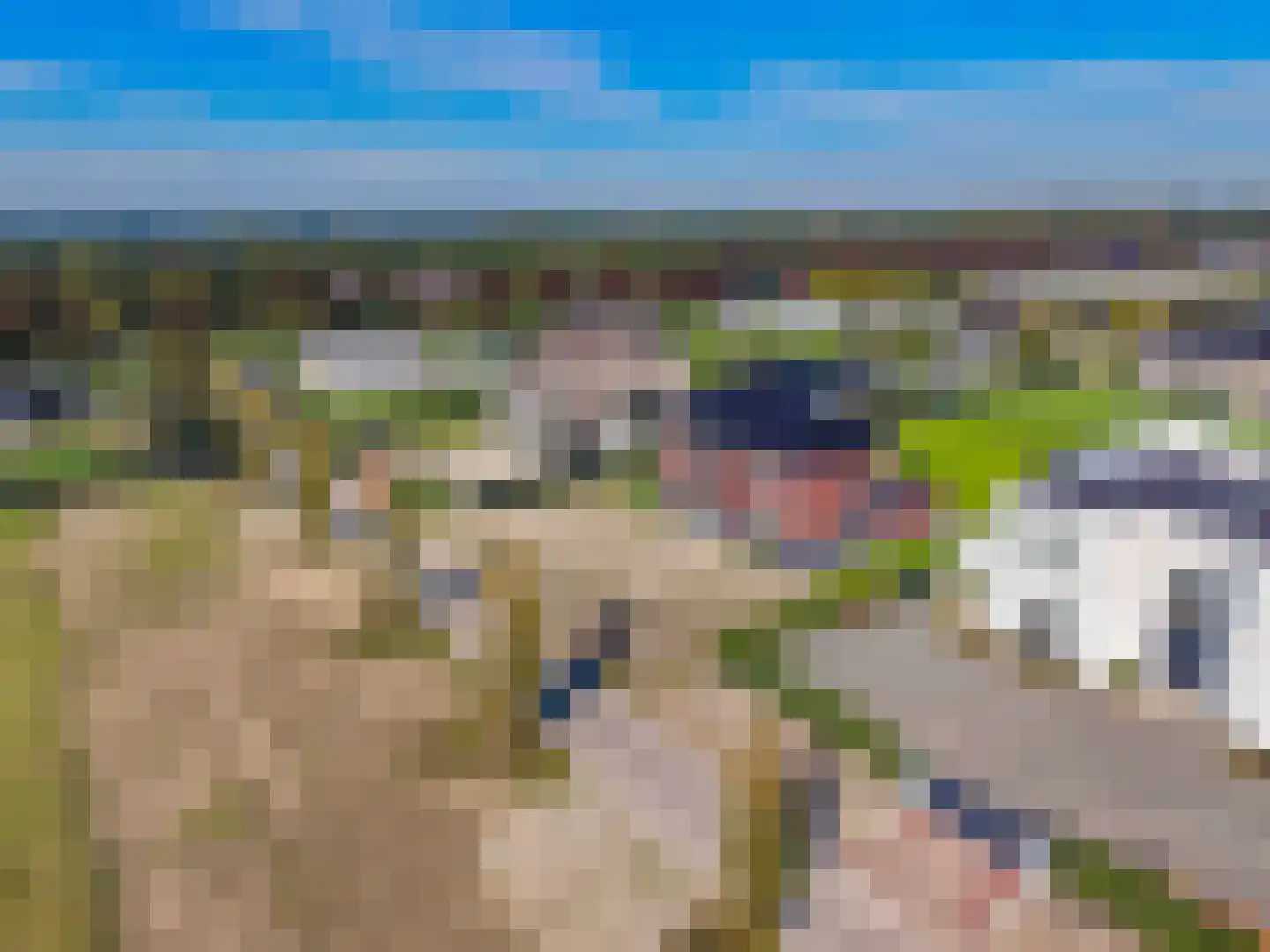 Hultense Bos 5 Almere thumbnail 64