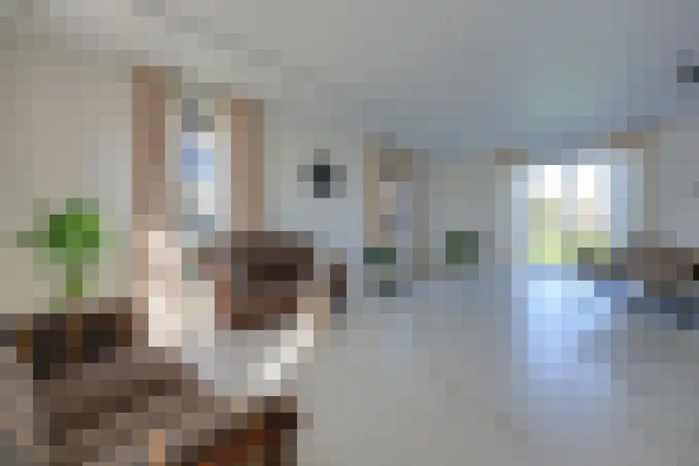 Hultense Bos 5 Almere thumbnail 80