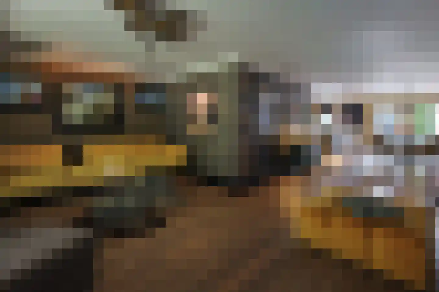 Hulterbussel 19 Waalre thumbnail 11