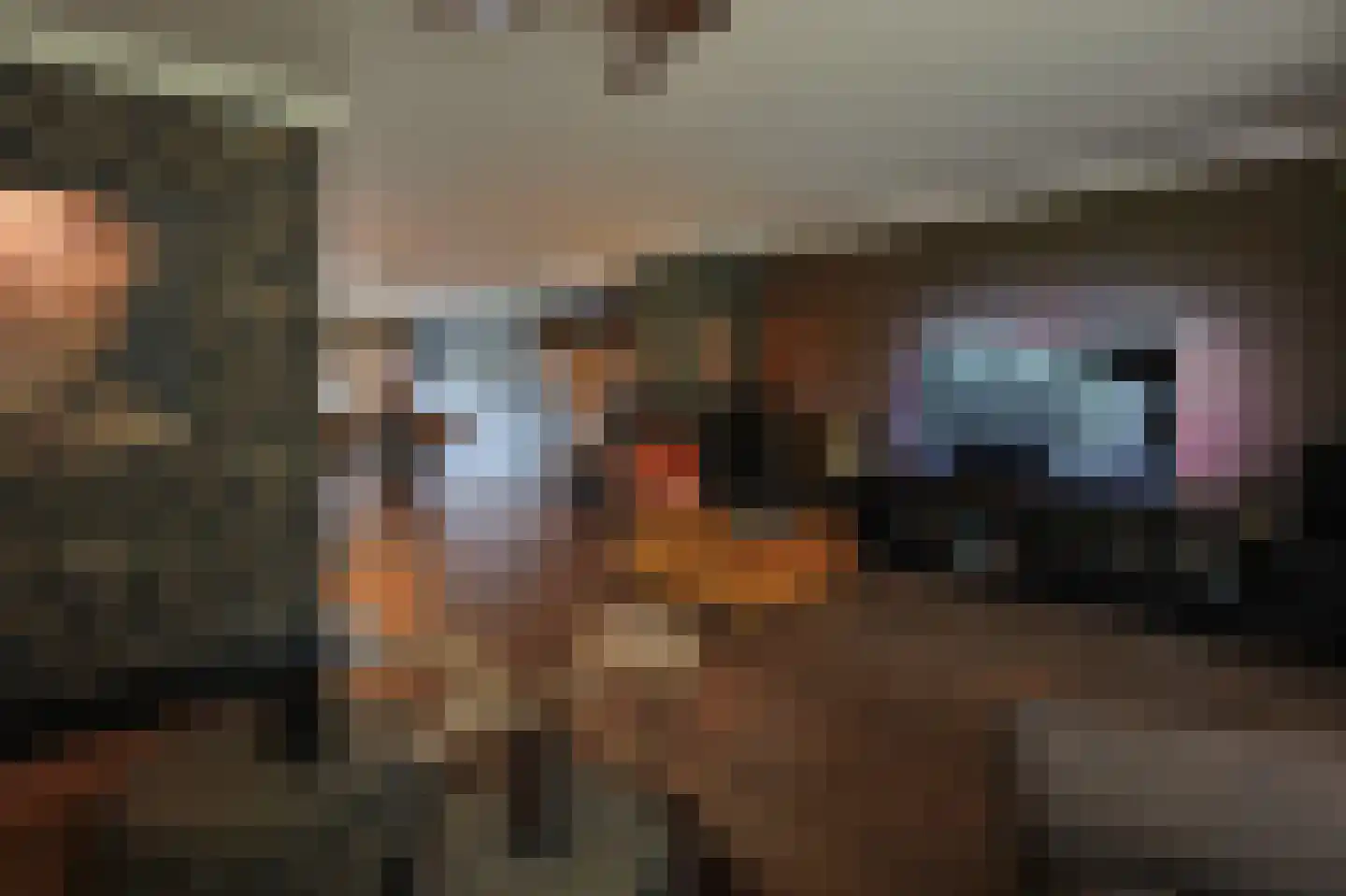 Hulterbussel 19 Waalre thumbnail 13