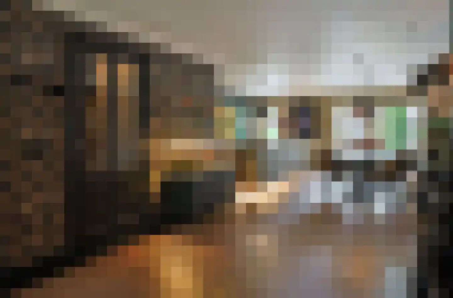 Hulterbussel 19 Waalre thumbnail 15