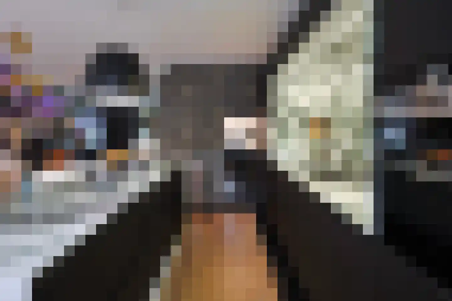 Hulterbussel 19 Waalre thumbnail 21