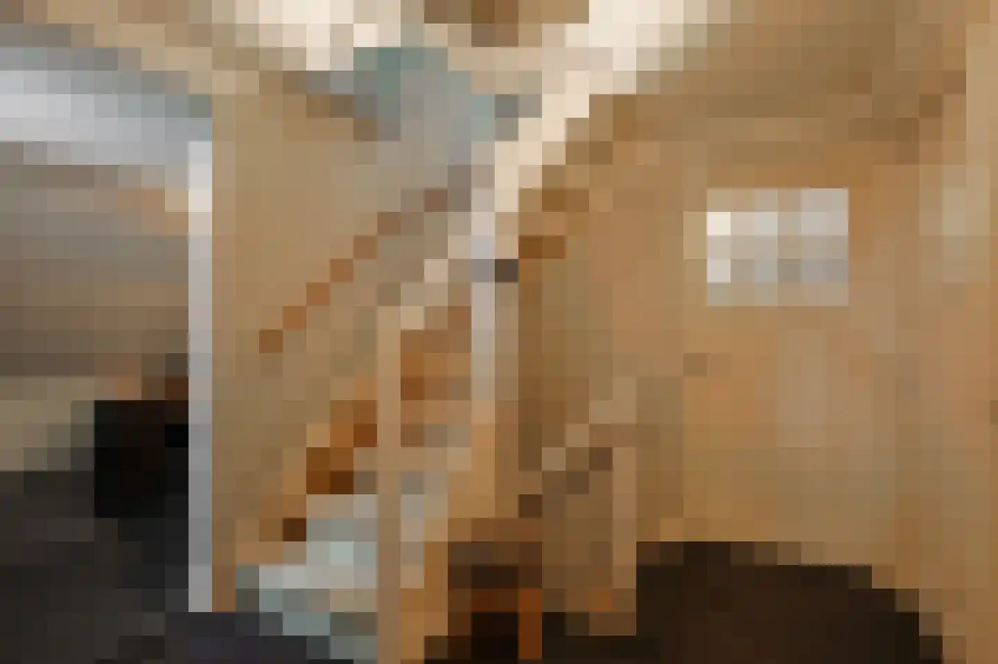 Hulterbussel 19 Waalre thumbnail 27