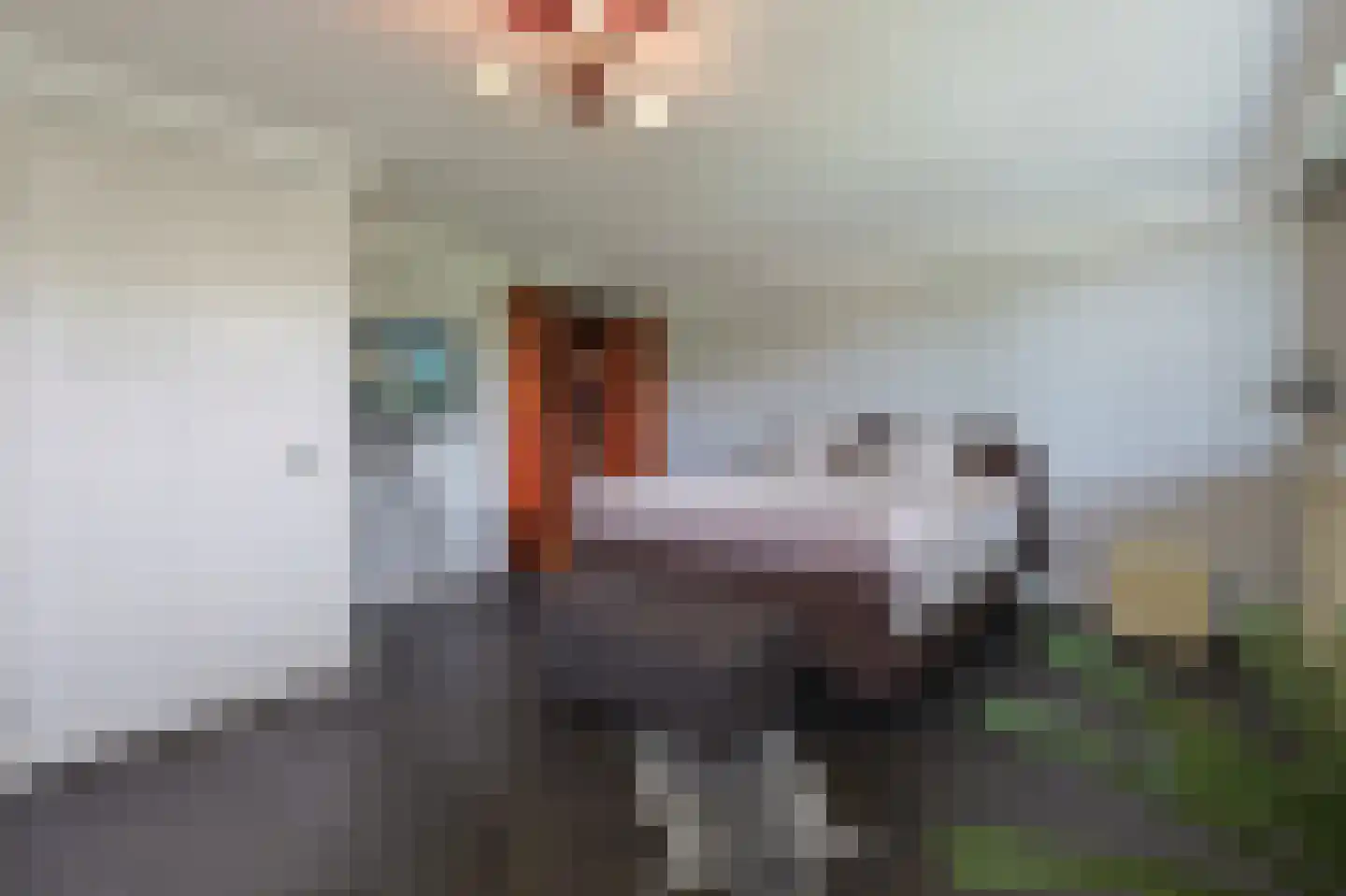 Hulterbussel 19 Waalre thumbnail 29