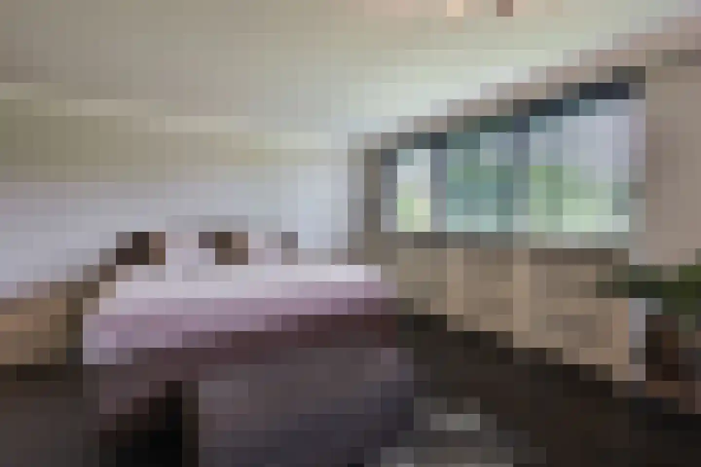 Hulterbussel 19 Waalre thumbnail 30