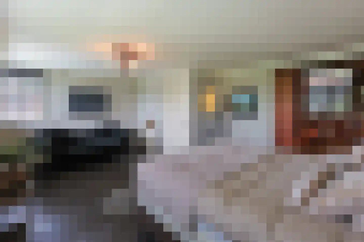 Hulterbussel 19 Waalre thumbnail 32