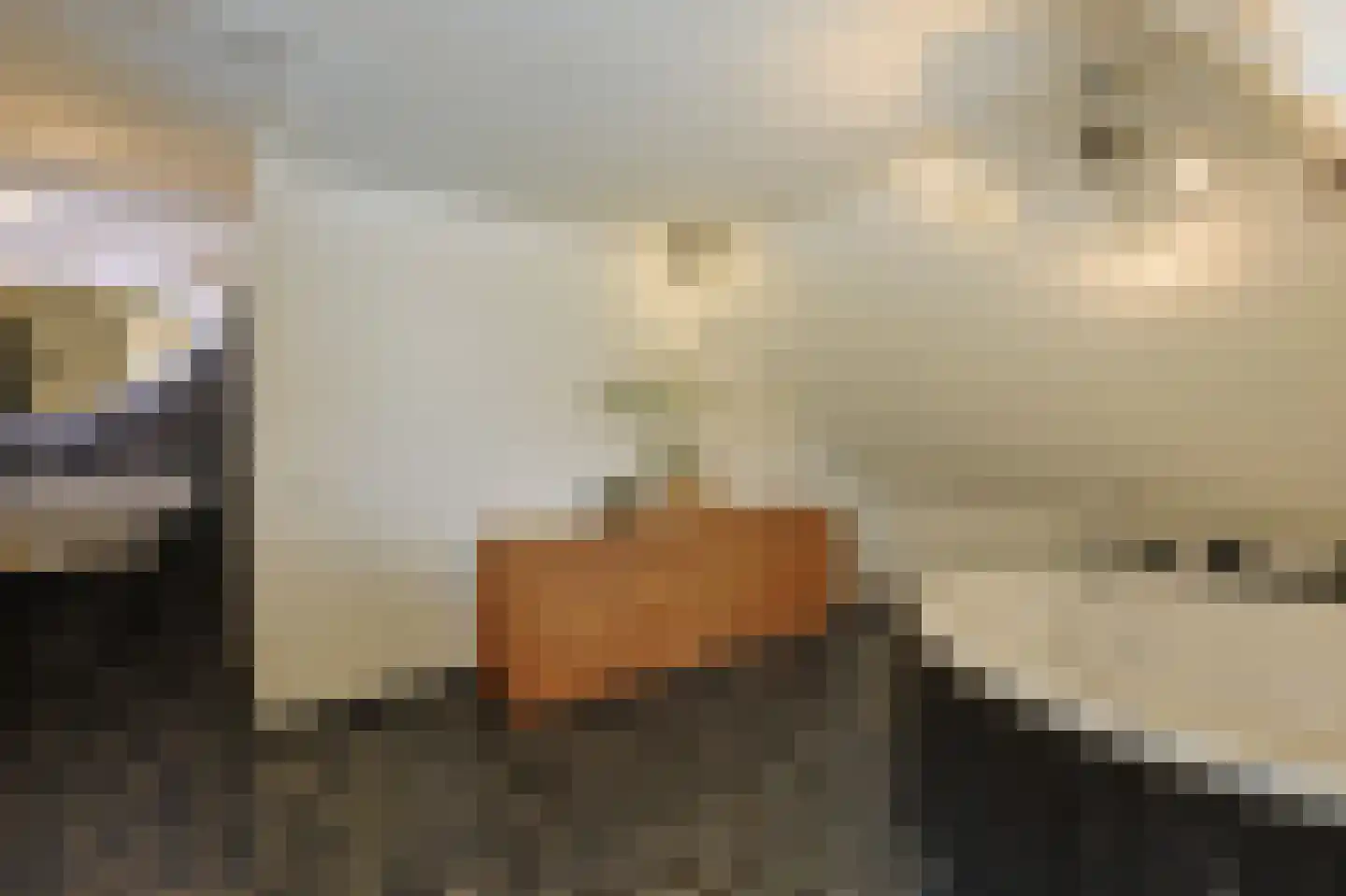 Hulterbussel 19 Waalre thumbnail 40