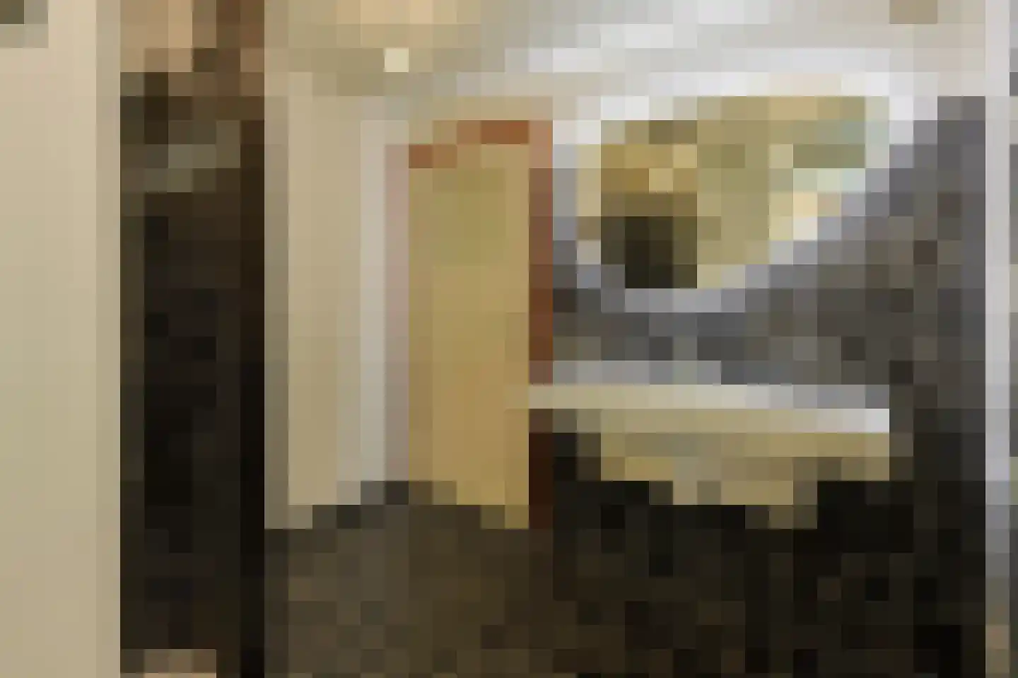 Hulterbussel 19 Waalre thumbnail 42