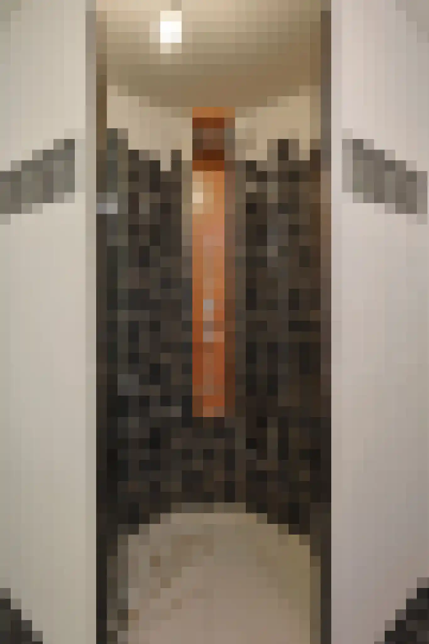 Hulterbussel 19 Waalre thumbnail 43