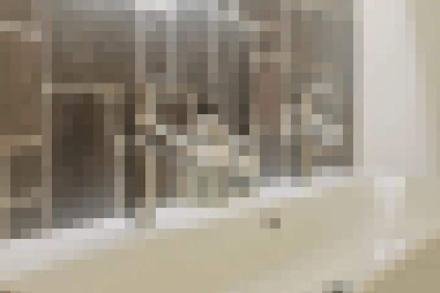 Hulterbussel 19 Waalre thumbnail 44
