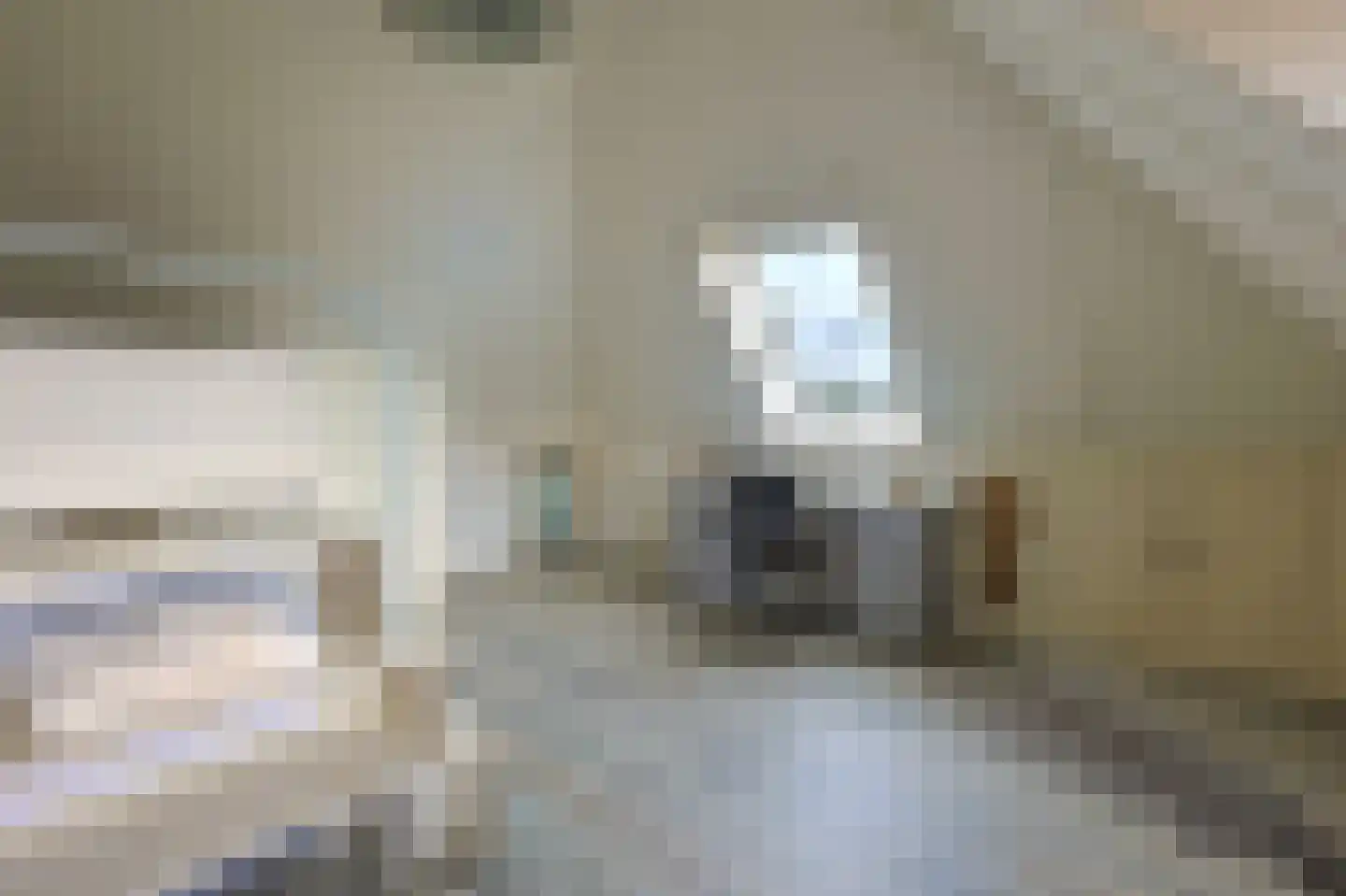Hulterbussel 19 Waalre thumbnail 50