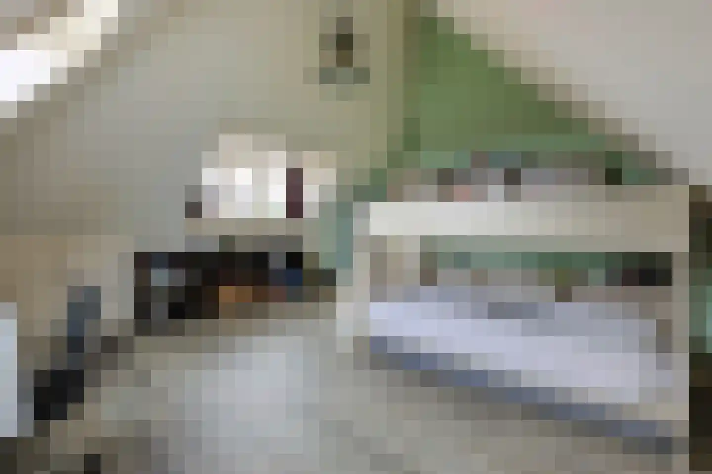 Hulterbussel 19 Waalre thumbnail 52