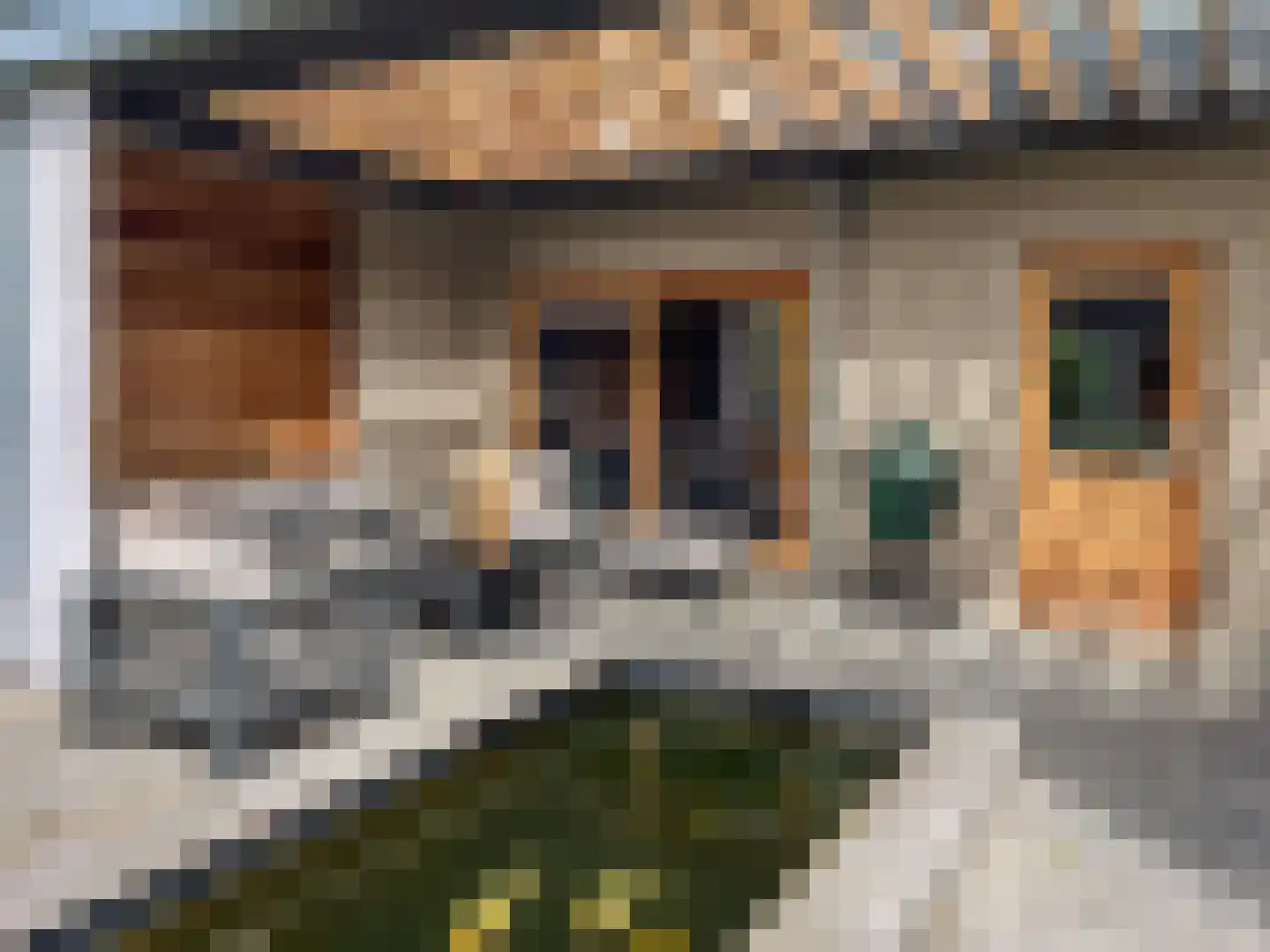 Hulterbussel 19 Waalre thumbnail 64