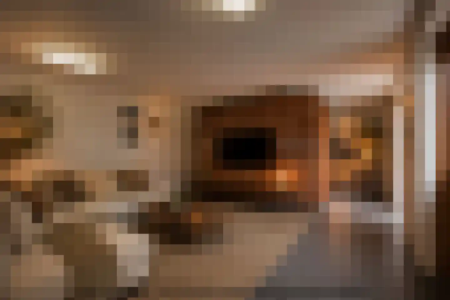 Hulterbussel 19 Waalre thumbnail 66
