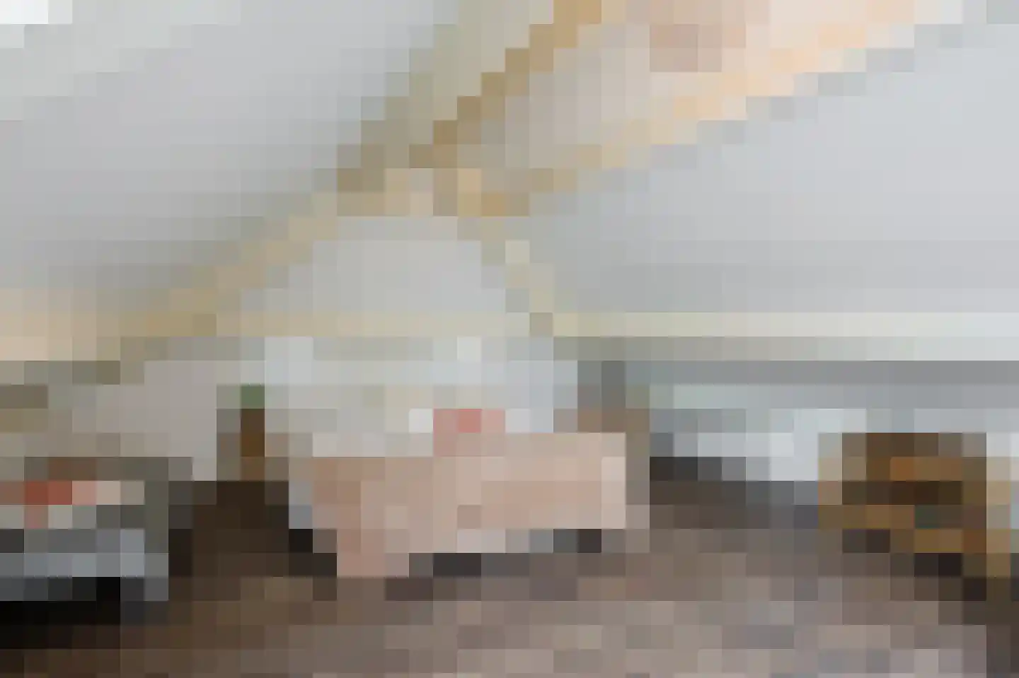 Hulterbussel 19 Waalre thumbnail 68