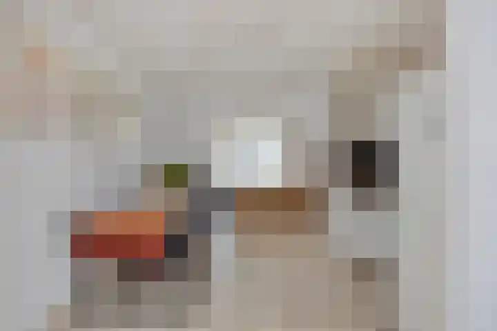 Hulterman 23 Asten thumbnail 14