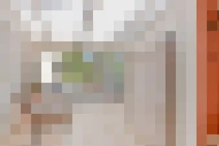 Hulterman 23 Asten thumbnail 23