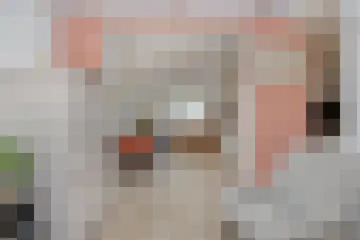 Hulterman 23 Asten thumbnail 24