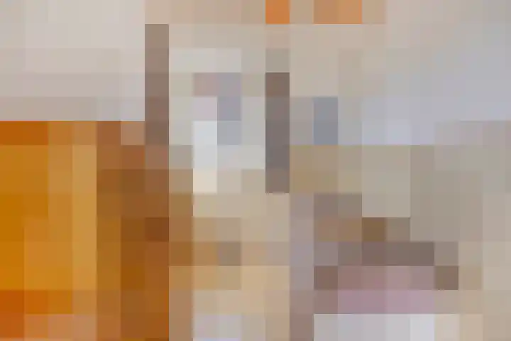 Hulterman 23 Asten thumbnail 31