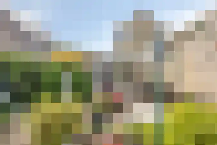 Hulterman 23 Asten thumbnail 35