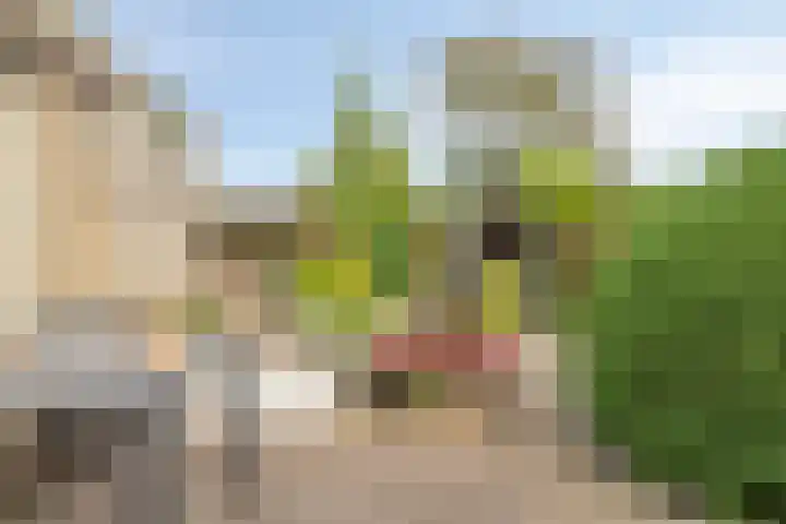 Hulterman 23 Asten thumbnail 37