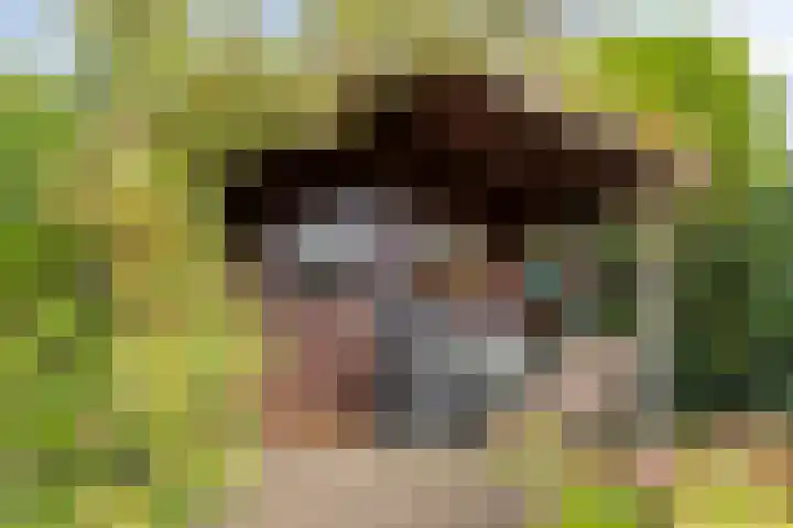Hulterman 23 Asten thumbnail 39