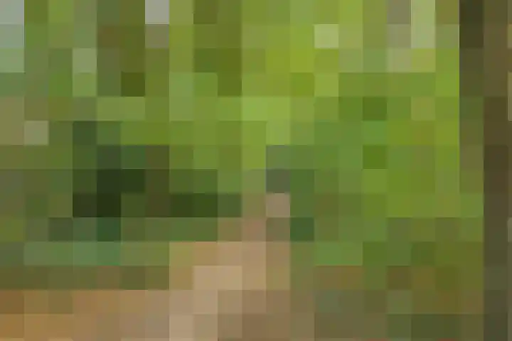 Hulterman 23 Asten thumbnail 41