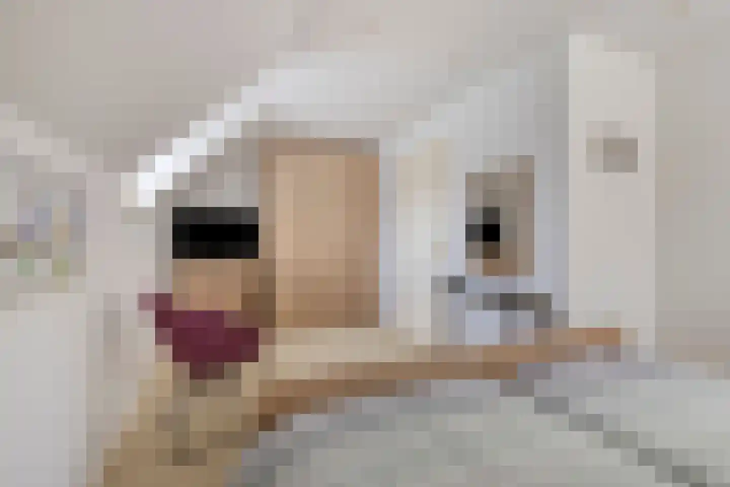 Hulterman 29 Asten thumbnail 35