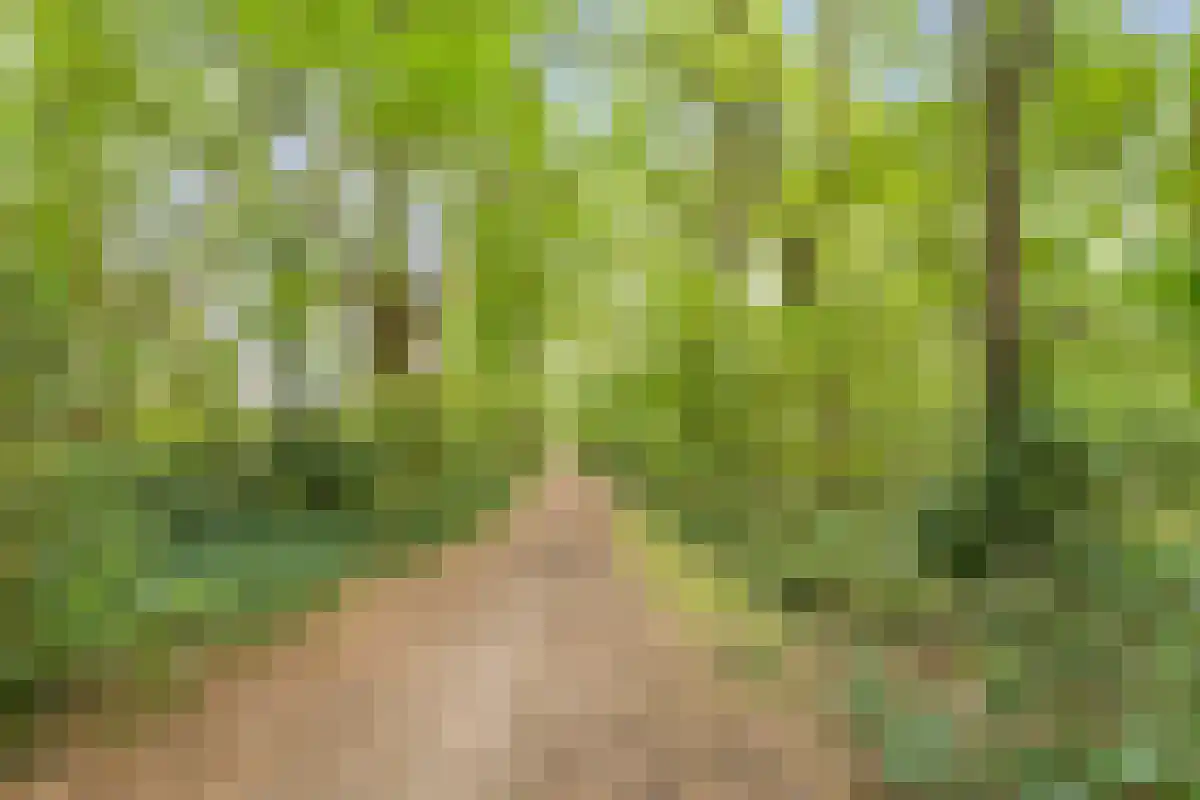Hulterman 29 Asten thumbnail 55