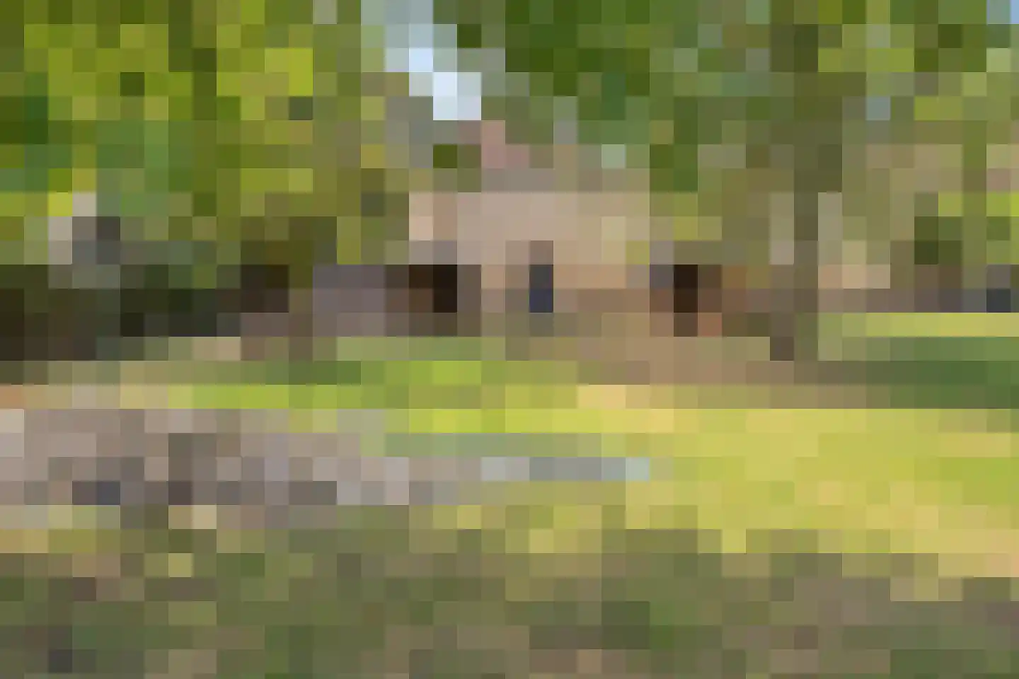 Hultersdreef 7 Maastricht thumbnail 30
