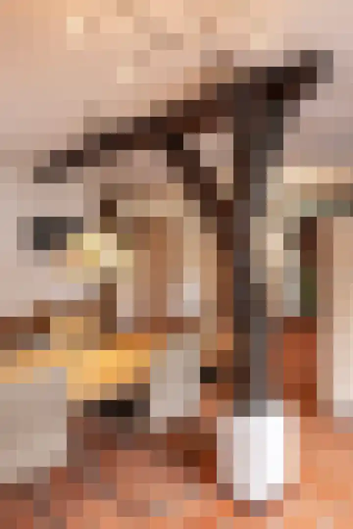 Hulweg 2 Oosterwolde Gld thumbnail 21
