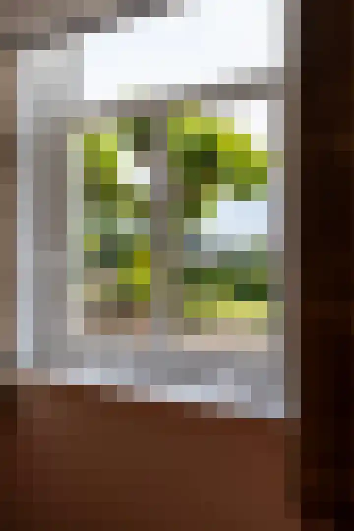 Hulweg 2 Oosterwolde Gld thumbnail 31