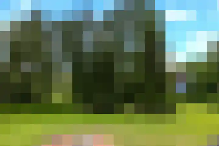 Hulweg 2 Oosterwolde Gld thumbnail 50