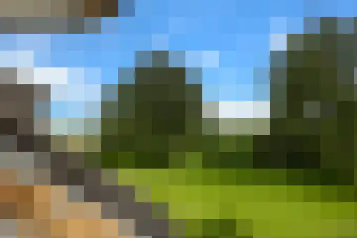 Hulweg 2 Oosterwolde Gld thumbnail 54